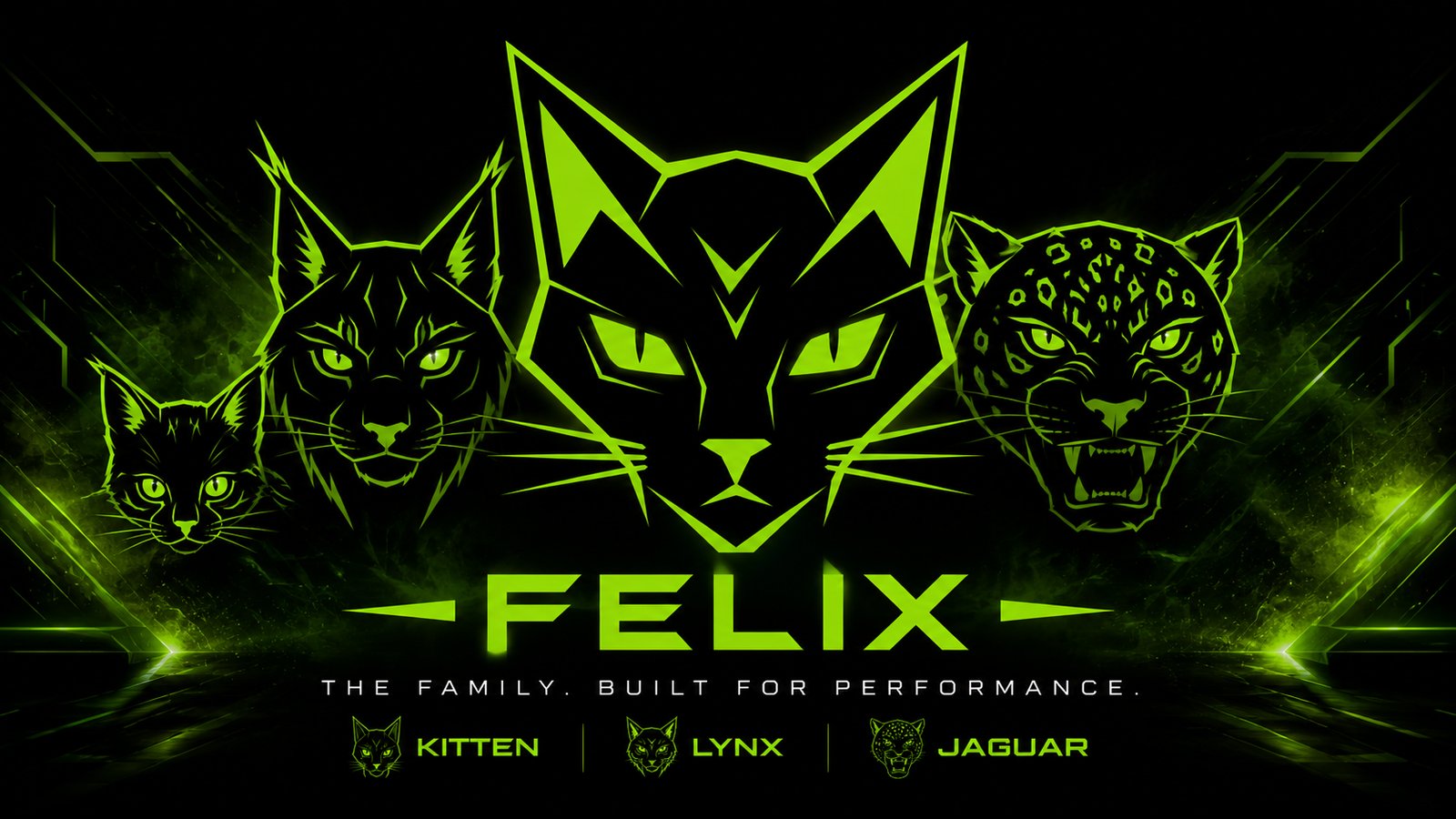 The Felix family — Kitten, Lynx and Jaguar. Built for performance.